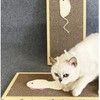 Pack of 2 Large Cardboard Cat Scratching Boards with Catnip