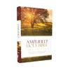 Amplified Holy Bible, Hardcover: Captures the Full Meaning Behind the