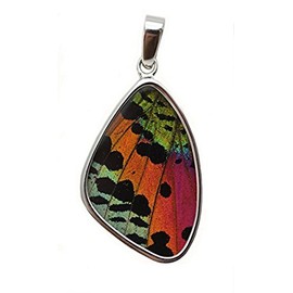 Sunset Moth Butterfly Wing Medium Pendant in Silver