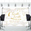 Leowefowa Gender Reveal Backdrop 7x5ft Twinkle Twinkle Little Star Banner