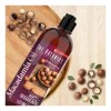 Shampoo Bioactive Hair Care Oil Macadamia 591 ml The Botanist