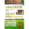極濃 青汁 乳酸菌500億個 生きた酵素 (製薬会社と共同開発) 大麦若葉 無添加 国産 (1個 (x