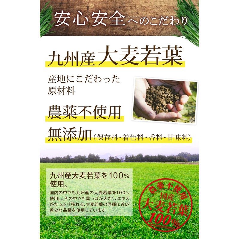 極濃 青汁 乳酸菌500億個 生きた酵素 (製薬会社と共同開発) 大麦若葉 無添加 国産 (1個 (x