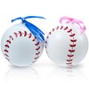 UP Shop Gender Reveal Baseball with Pink and Blue Powder