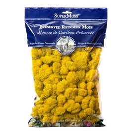 SuperMoss Reindeer Preserved Long Lasting Decorative Moss for Floral Décor Potted Plants and Indoor Planters, Sunflower
