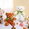 HyDren 24 Pcs Bear Bulk Plush Stuffed Animals 10 Inch