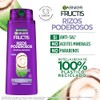 Garnier Fructis Shampoo Rizos Poderosos 650 Kilograms Unidad