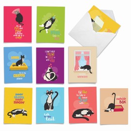 The Best Card Company - 10 Adorable Blank Cat Cards (4 x 5.12 Inch) - Cute Pet Kittens, Assorted Bulk Notecard Set - Catty Cards M6558OCB