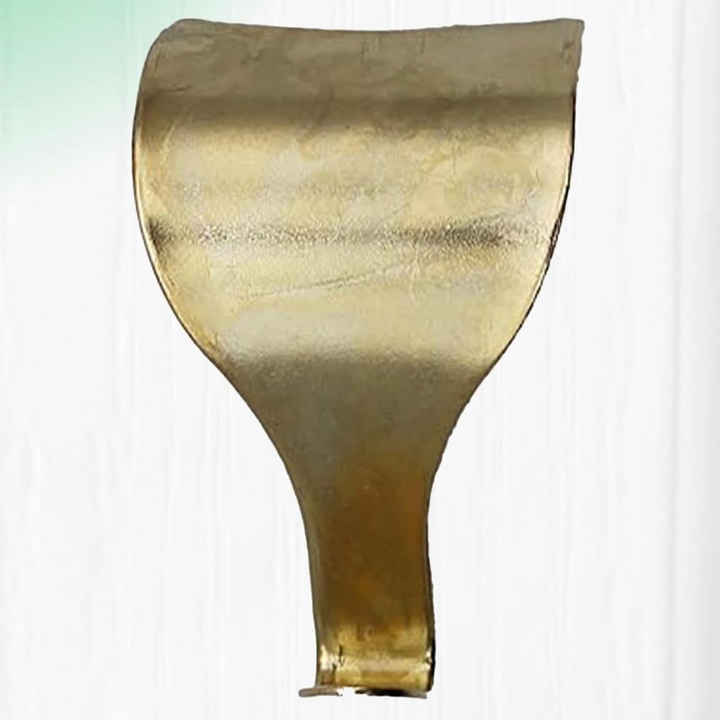 Twzqsyw Brass-Plated Steel Moulding Picture Rail Hook - Pack of