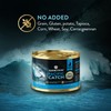Addiction Wild Islands Pacific Catch Premium Ocean Fish & Salmon