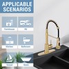 DJS Kitchen Faucets with Pull Down Sprayer Brushed Gold -Single
