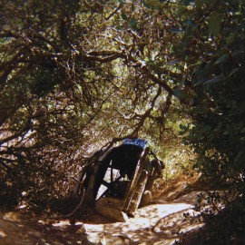 Ty Segall Possession Records & LPs New