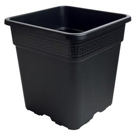 Gro Pro® Black Square Pot, 2-Gallon