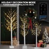 3PACK Lighted Birch Tree 4FT 5FT and 6FT, Smart White