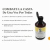 Davines Purifying Shampoo | Shampoo anti caspa |250 ml