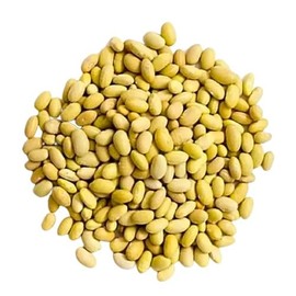 Mayocoba Peruano Dry Beans Frijoles | Bulk (2 Pounds)