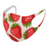 Design Mask, Set of 2, Polyester, Washable, Cloth Mask, Unisex,