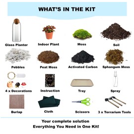 KRAFTSTORIES DIY Closed Terrarium | Terrarium Kit with Indoor Plant, Live Moss and Glass Container | Full Set Indoor Garden Make Your Own Terrarium (Bottle+Indoor Plant)