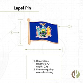 Desert Cactus New York Lapel Pin NY State Enamel Made of Metal Souvenir Hat Men Women Patriotic New Yorker (Waving Flag Lapel Pin)