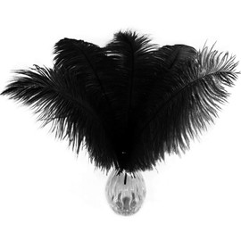 Piokio 20 pcs Black Ostrich Feathers Plumes 10-12 inches(25-30 cm) in Bulk for Wedding Party Centerpieces Home Decorations