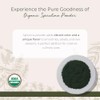 Starwest Botanicals Certified Organic Spirulina Powder, 1 Pound Bulk Bag