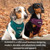 DJANGO Fully Lined Hoodie for Dog - Soft, Stretchy, and