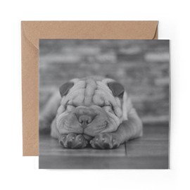 1 x Greeting Card BW - Shar Pei Dog Puppy Animal Pet - Blank Birthday Celebration Anniversary #35436