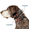 Buckle-Down PC-W30462-L Dog Collar Plastic Clip Buckle, Dragons Tan, 1"