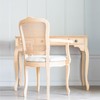 Bluebird 3.4 Fl Oz Polyurethane Clear Coat for Furniture, Paintings,