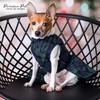 Parisian Pet Scottish Green Dress - Stylish Wedding Outfit -