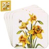 Lesser & Pavey Sarah Boddy Bee-Tanical Daffodil Coaster Set of