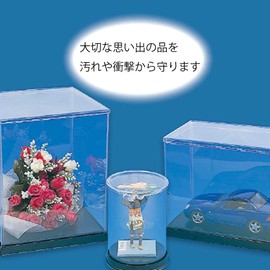 Shimojima Heiko Display Case For Collectibles, Winner Case, Square, 8.3 x 8.3 x 9.8 inches (21 x 21 x 25 cm), 1 Piece