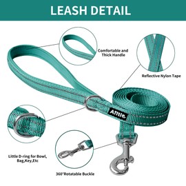AIITLE Escape Proof Dog Harness - Step in Adjustable Dog Harness No Choke Over with Breathable Mesh and Quick-Release Buckle - Outdoor Walking, Training for Medium Dogs Pure Turquoise XL
