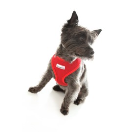 Doodlebone Airmesh Dog Harness | Padded Soft Breathable | Gentle On Dogs Necks to Help Avoid Bruising | Extra Small, Red