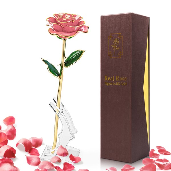 Yolife Gold Dipped Rose 24k Gold Dipped Real Rose Lasted Forever with Transparent Stand, Best for Her - for Valentine’s Day Mother’s Day Girlfriend Wife Birthday Wedding Flowers