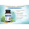 Biovea Capuslas de Aceite de Oregano con 88% Carvacrol y