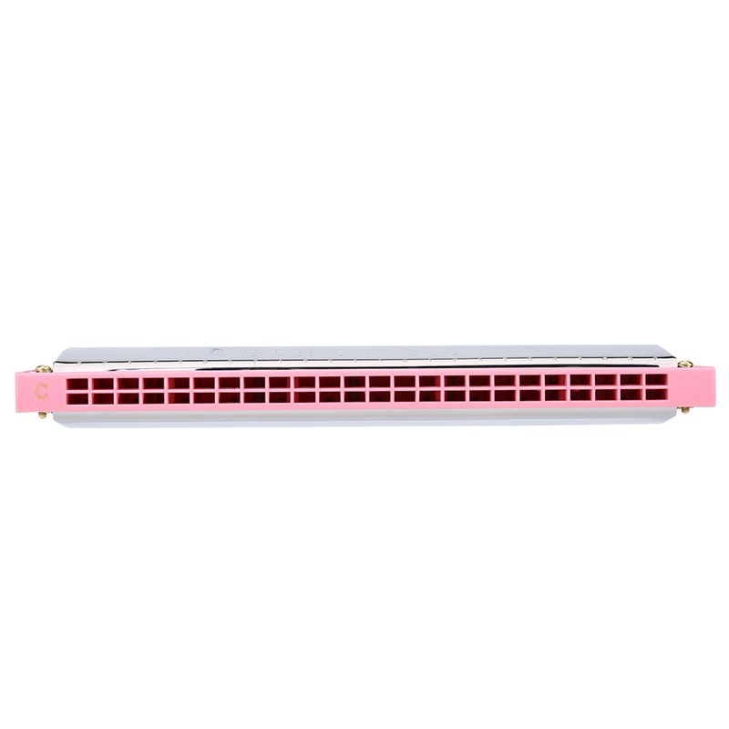 24 Holes Key of C Metal Harmonica Mouth Organ Children