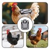 Chicken Saddle for Hens, Comfortable Polyester Hen Apron Waterproof Chicken