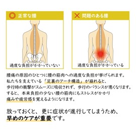 Foot Care Goods.COM Healthy Insole for Lower Back Pain, Shock Absorbing Material Reduces Impact on the Lower Back, 2 Arch Pads to Protect Your Foot Skeleton (Women's L 9.4 - 9.8 inches (24.0 - 25.0