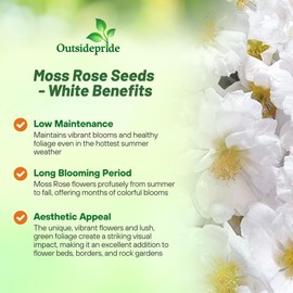 Outsidepride White Moss Rose Seeds - 5000 Pcs Annual, Drought & Heat Tolerant, Pollinator Friendly Ground Cover Seeds for Planting w/Vibrant Blooms & Succulent Foliage, Ideal for Xeriscaping