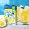 Wyler's Light Singles Water Drink Mix To Go Powder Packets,