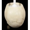 Gothic Skull Toilet Brush | Bathroom Decorative Items, Hand Painted