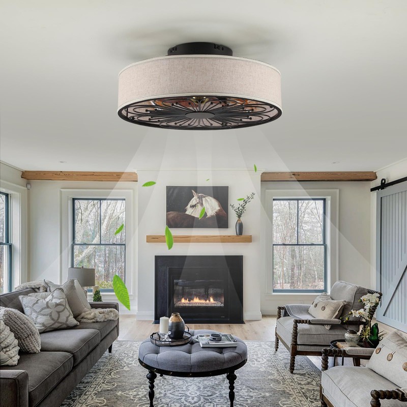Alaruder Caged Ceiling Fans with Lights Flush Mount,Low Profile Ceiling