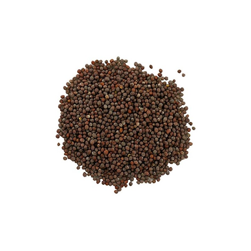 Buy Wellness MUSTARD SEEDS, Brown, USDA Certified Organic Brown Mustard