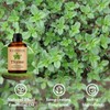 Wuvezrub Thyme Essential Oils 120ML, Pure Thyme Essential Oil for