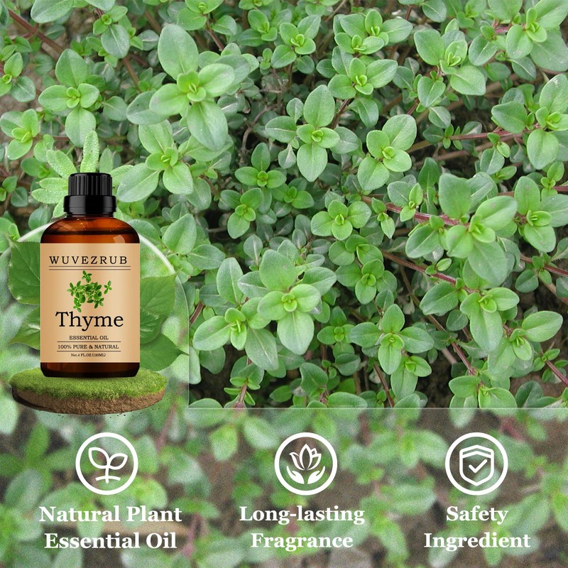 Wuvezrub Thyme Essential Oils 120ML, Pure Thyme Essential Oil for