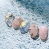 Under the sea ♪ - Petit Square / Under the