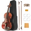 Ceciliec 4/4 Violin, Acoustic Full Size Violin for Beginners Kids