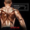 Activlab Creatine Monohydrate - 500g Jar | Optimum Nutrition Pre-Workout
