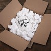 Magicwater Supply - 1 Cu Ft - White Packing Peanuts